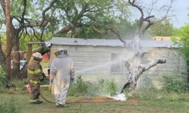 Nhân viên cứu hỏa tại ngôi nhà xảy ra vụ ong đốt chết người ở Breckenridge, Texas. 