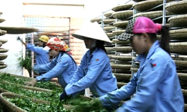 Doanh nghiệp FDI: Vẫn chuyển giá, trốn thuế