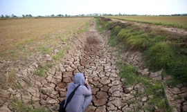 Bộ TN&MT kêu gọi phục hồi đất, chống sa mạc hoá