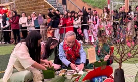 Thầy Hiệu trưởng nhận 'bão like' khi gửi thư quán triệt không giao bài tập dịp Tết 