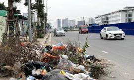 Bộ Tài nguyên và Môi trường đang đề xuất xử phạt nguội hành vi vứt rác bừa bãi. Ảnh: Như Ý.