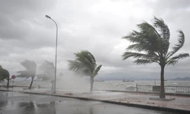 Xuất hiện vùng áp thấp ngoài khơi Philippines, Biển Đông có thể đón bão