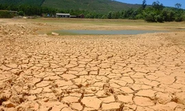 El Nino đã bắt đầu, Việt Nam đối diện hạn hán khốc liệt