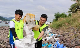 Bộ Tài nguyên và Môi trường kêu gọi thực hiện lối sống xanh