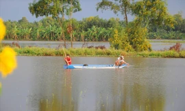 Bộ TN&MT đề nghị tăng cường ứng dụng AI trong cảnh báo sớm thiên tai