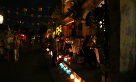 Giờ Trái Đất 2024 kêu gọi giảm dấu chân carbon - hướng tới Netzero