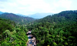 Vinh danh những người giữ rừng ở vườn quốc gia Chư Yang Sin