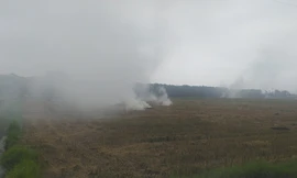 Phát triển kinh tế tuần hoàn trong nông nghiệp là tất yếu