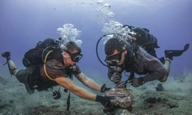 Ba tuyến cáp quang biển cùng gặp sự cố