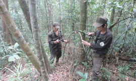 Hành trình 11 năm giải cứu động vật hoang dã