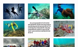 Thêm 20 tác phẩm lọt vào chung khảo Cuộc thi Giấc Mơ Xanh