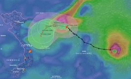 Thông tin mới về bão số 8