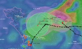 Áp thấp nhiệt đới gây mưa lớn, bão số 8 di chuyển chậm