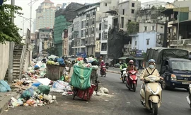 Thực hư thông tin xử phạt không phân loại rác tại nguồn từ 25/8