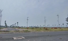 Lấy ý kiến nhân dân về dự thảo Luật Đất đai sửa đổi