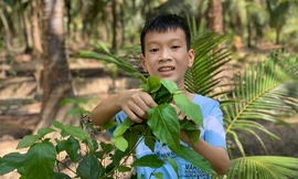 Học sinh Việt Nam giành giải 3 viết thư quốc tế UPU