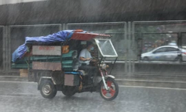 Mưa gia tăng ở nhiều vùng trên cả nước