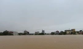 Bão Trà Mi gây mưa lớn hơn bão YAGI