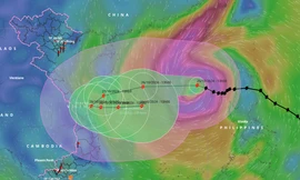 Hai kịch bản của bão Trà Mi ra sao?
