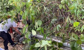 Bộ trưởng GD&ĐT Nguyễn Kim Sơn gửi thư thăm hỏi giáo viên bị đất đá vùi lấp