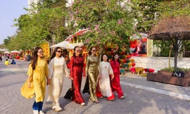 Miền Bắc sắp hửng nắng, miền Trung đón mưa lớn