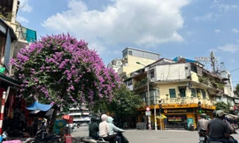 Hà Nội sắp đón những ngày nóng bất thường trong tháng 2