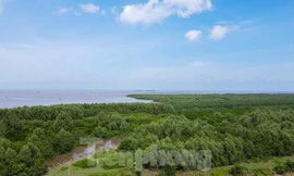 Chủ tịch xã có quyền thu hồi rừng, cho thuê, cấp vốn