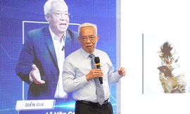 Thầy cô thay đổi thế nào khi ứng dụng AI vào dạy học ngoại ngữ?