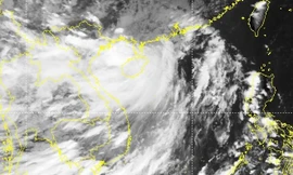 Bão đổ bộ Trung Quốc, đêm nay đi vào đất liền Việt Nam