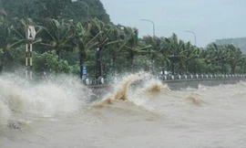 Hình thành vùng áp thấp trên Biển Đông, dự báo mạnh lên ATNĐ