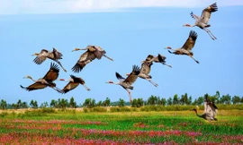 Chiêm ngưỡng tuyệt phẩm về thiên nhiên Việt Nam