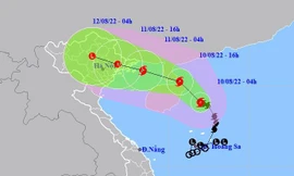 Bão số 2 di chuyển rất nhanh, từ chiều tối nay ảnh hưởng đất liền