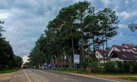 Nhiều trận động đất xảy ra liên tục thời gian qua ở huyện Kon Plông, tỉnh Kon Tum. Ảnh minh họa.