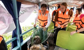 Nhiều hoạt động hưởng ứng chiến dịch Làm cho thế giới sạch hơn