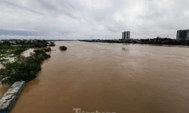 Nước lũ sông Hồng tại Hà Nội giảm nửa mét