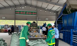 Thành phố biển Quy Nhơn thúc đẩy phân loại rác tại nguồn