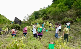 Kêu gọi cộng đồng ra quân làm sạch môi trường
