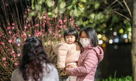 Thời tiết Tết Nguyên đán trên cả nước