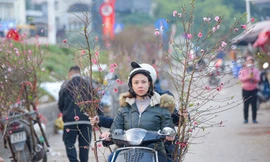 Thời tiết từ nay đến hết kỳ nghỉ Tết Nguyên đán ra sao?