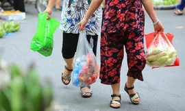 Từ 2026, Việt Nam sẽ hạn chế sản xuất, nhập khẩu túi nilon mỏng và nhỏ