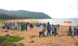 Nhiều hoạt động bảo vệ môi trường trong Tuần lễ Biển và Hải đảo Việt Nam