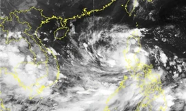 Cảnh báo bão Noru chỉ sau cấp thảm họa, nhiều tỉnh miền Trung báo động đỏ 