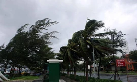 Điều tuyệt đối tránh ở vùng tâm bão đi qua