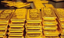 Việt Nam đẩy mạnh thăm dò, khai thác vàng