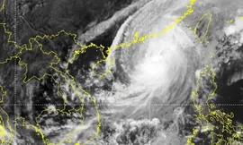 Biển Đông có thể đón 1-2 cơn bão trong tháng 11