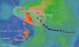 Bão số 6 đổ bộ đất liền trong đêm nay (23/9), vùng ảnh hưởng kéo dài dọc miền Trung và một phần Tây Nguyên. 