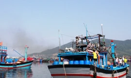 Thành lập Nghiệp đoàn nghề cá đầu tiên của Đà Nẵng