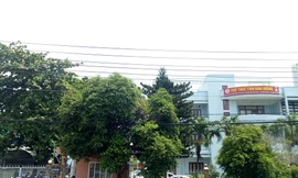 Tổng cục Thuế lên tiếng vụ '2h chiều Cục Thuế Bình Dương vẫn chưa hoạt động'