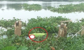 Khu vực phát hiện thi thể nạn nhân