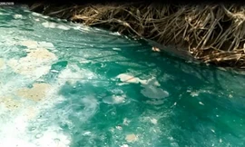 Sở TNMT Bình Dương vào cuộc vụ mương nước chuyển màu xanh, bốc mùi lạ